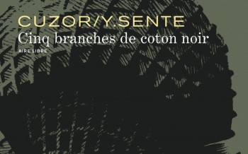 Cinq branches de coton noir