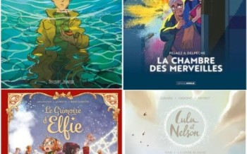 Lulu et Nelson T3, Merlin, La chambre des merveilles, Le Grimoire d'Elfie T3
