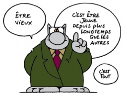 Chat lu