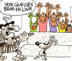 Vus par Edika