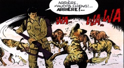Et oui... Bob Morane préfère les chats.
