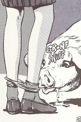 Tous des porcs