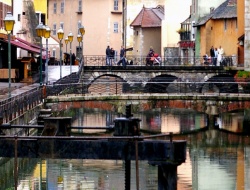 Du pont