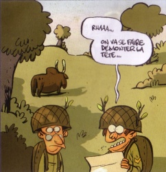 Zébu des militaires