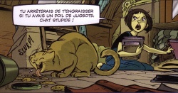 Oui, mais ce serait plus un chat