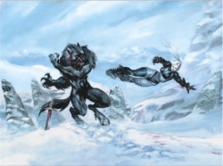 J'ai dit 
