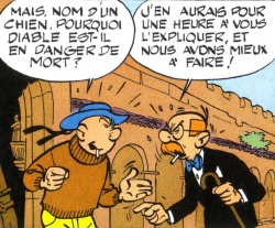 Ils ont des chapeaux nuls, vivent les libellules...