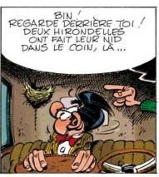 Gaston hors-série - Des gaffes et des chats