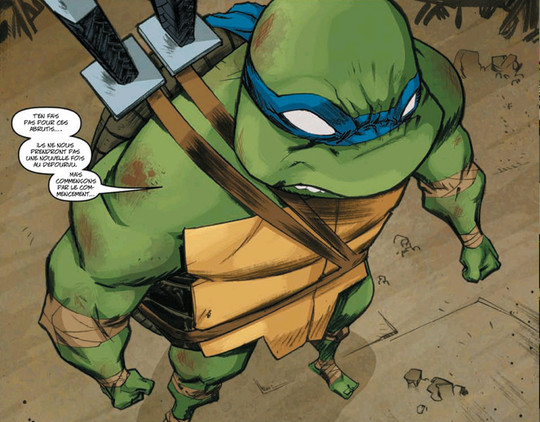 Les Tortues Ninjas - Les ombres du passé