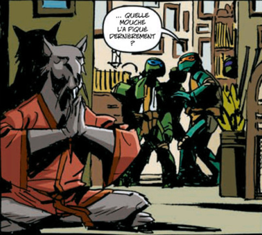 Tortues Ninja - Tome 4 - Les péchés du père