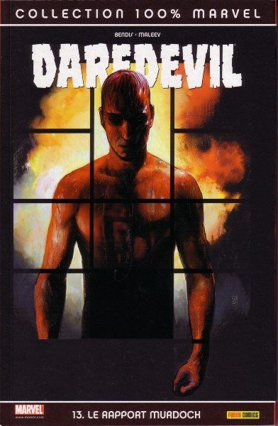 Daredevil - 2005-2006 - Le rapport Murdock