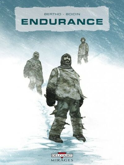  Mirages dans Endurance